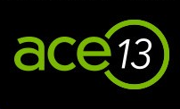 ACE2013 logo